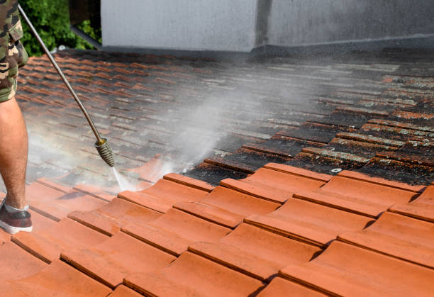 Best Affordable Power Washing  in Montpelier, ID