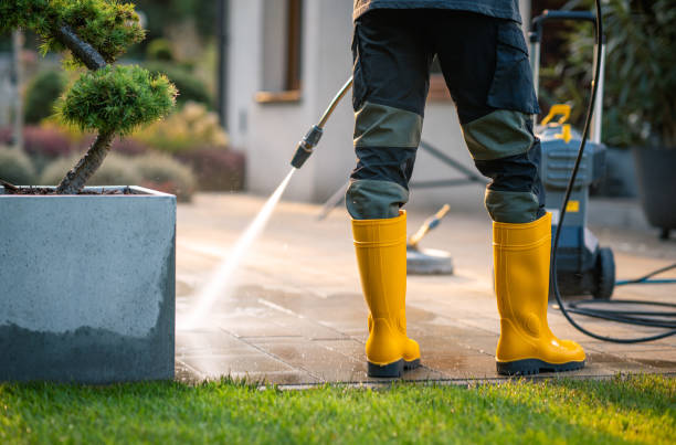 Best House Pressure Washing  in Montpelier, ID